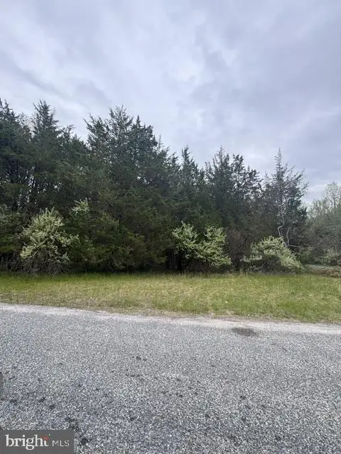0 Shaffer Ave, Egg Harbor City, NJ 08215 - #2