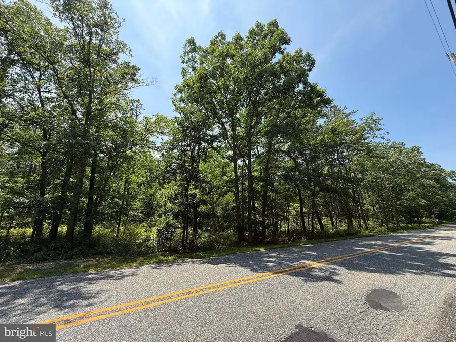 0 Holly St, Mays Landing, NJ 08330 - #3