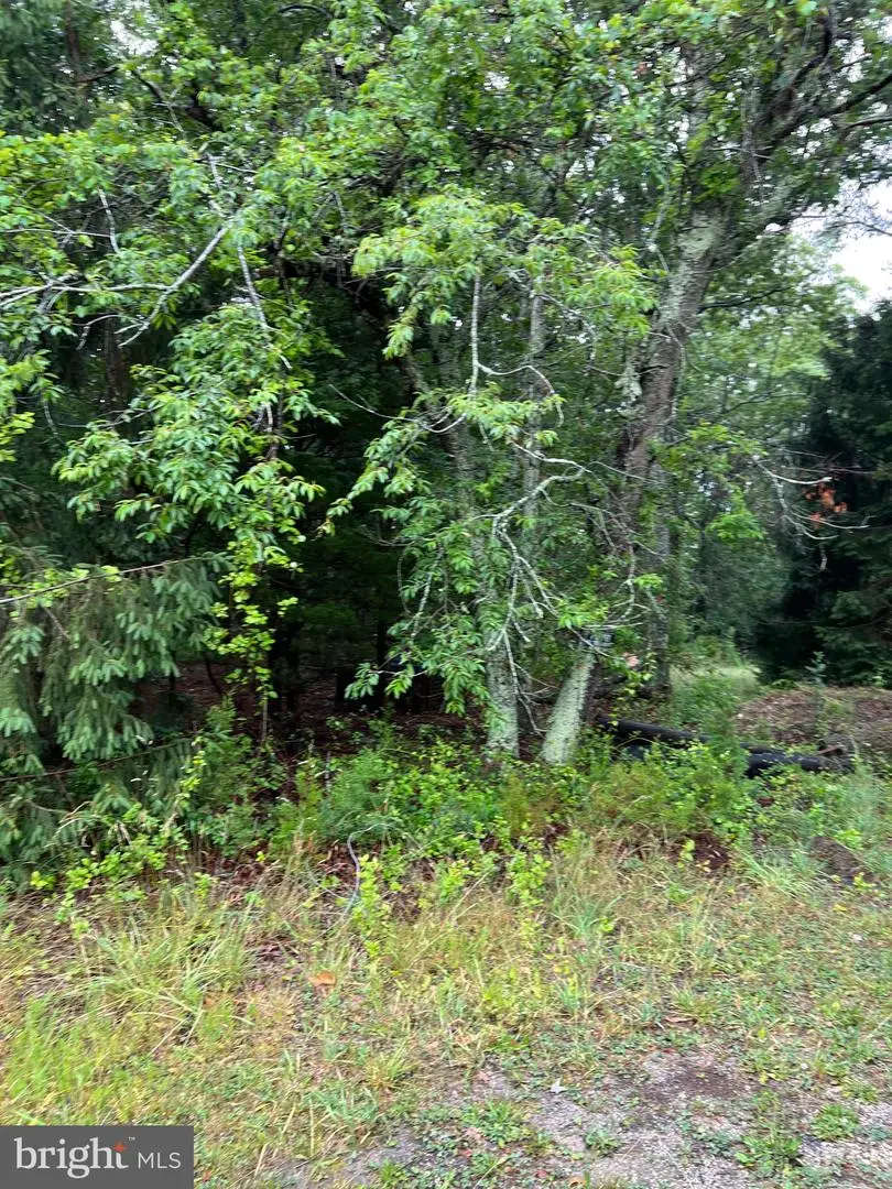 246 Crestview, Galloway, NJ 08205 - #3
