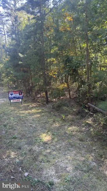 2007-2007 Mohrfeld Dr, Hammonton, NJ 08037 - #2
