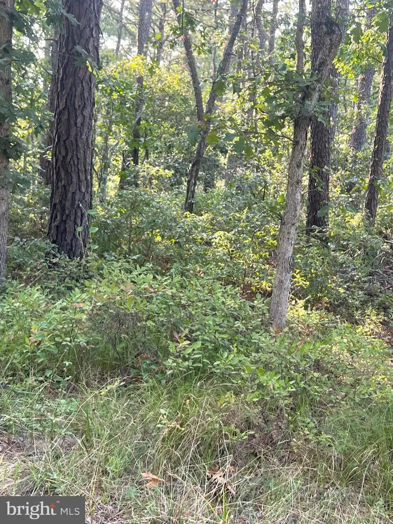 0 Margaret St, Browns Mills, NJ 08015 - Image #1