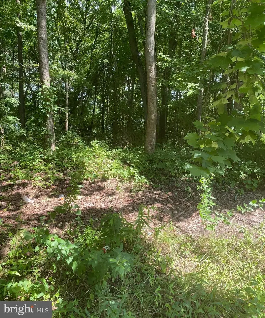 53 Fountain Blvd, Burlington, NJ 08016 - Image #1