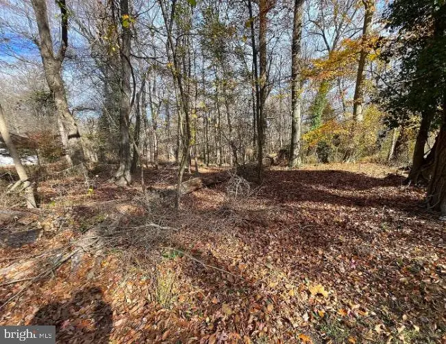 13 White Birch Trl, Medford, NJ 08055 - Image #3