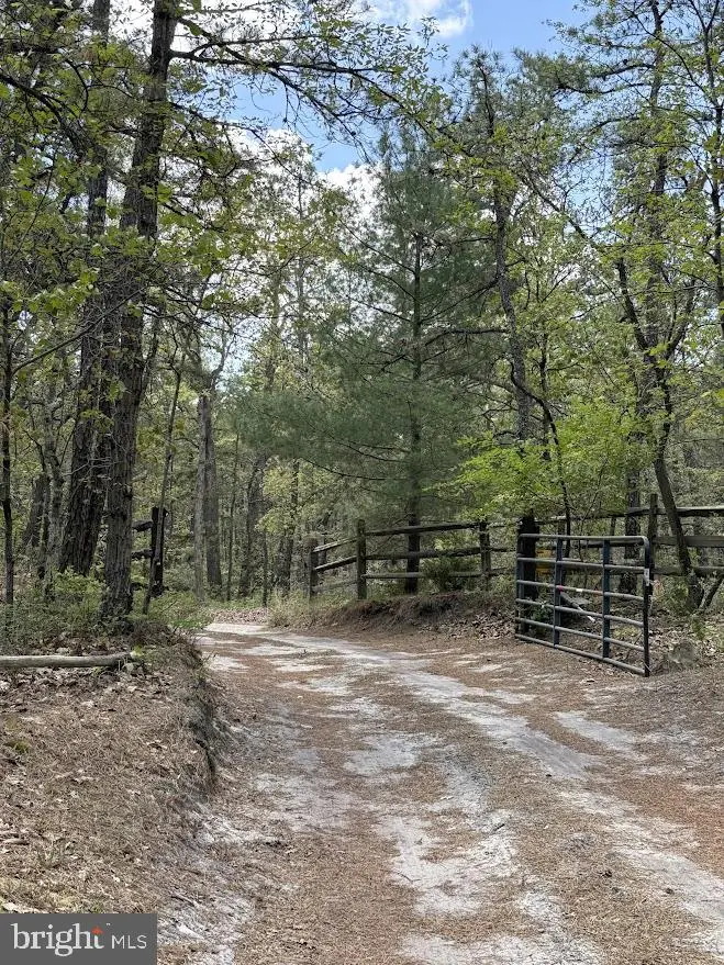 Jackson Road, Medford, NJ 08055 - Image #1