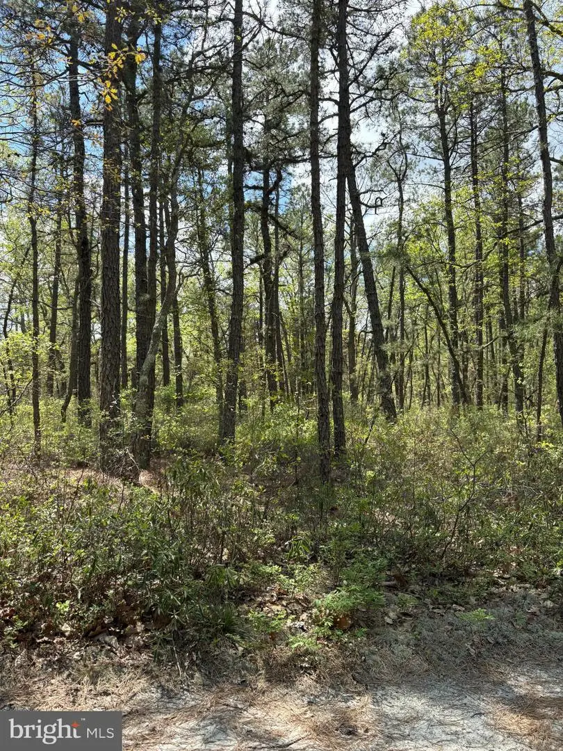 Jackson Road, Medford, NJ 08055 - Image #3