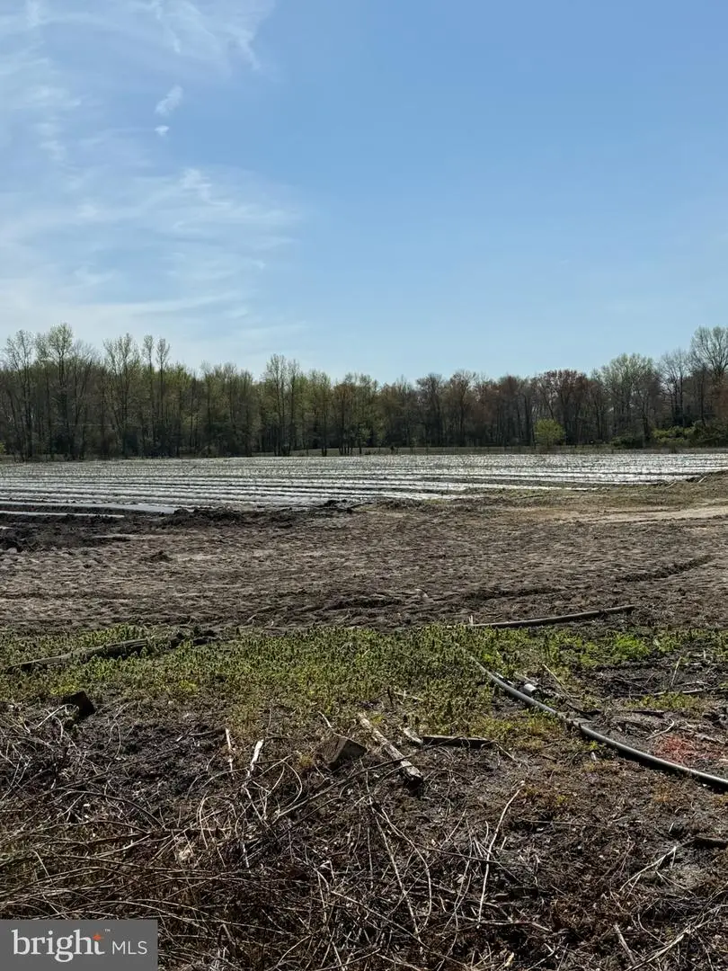 427 Isaac Budd Rd, Southampton Township, NJ 08088 - Image #2