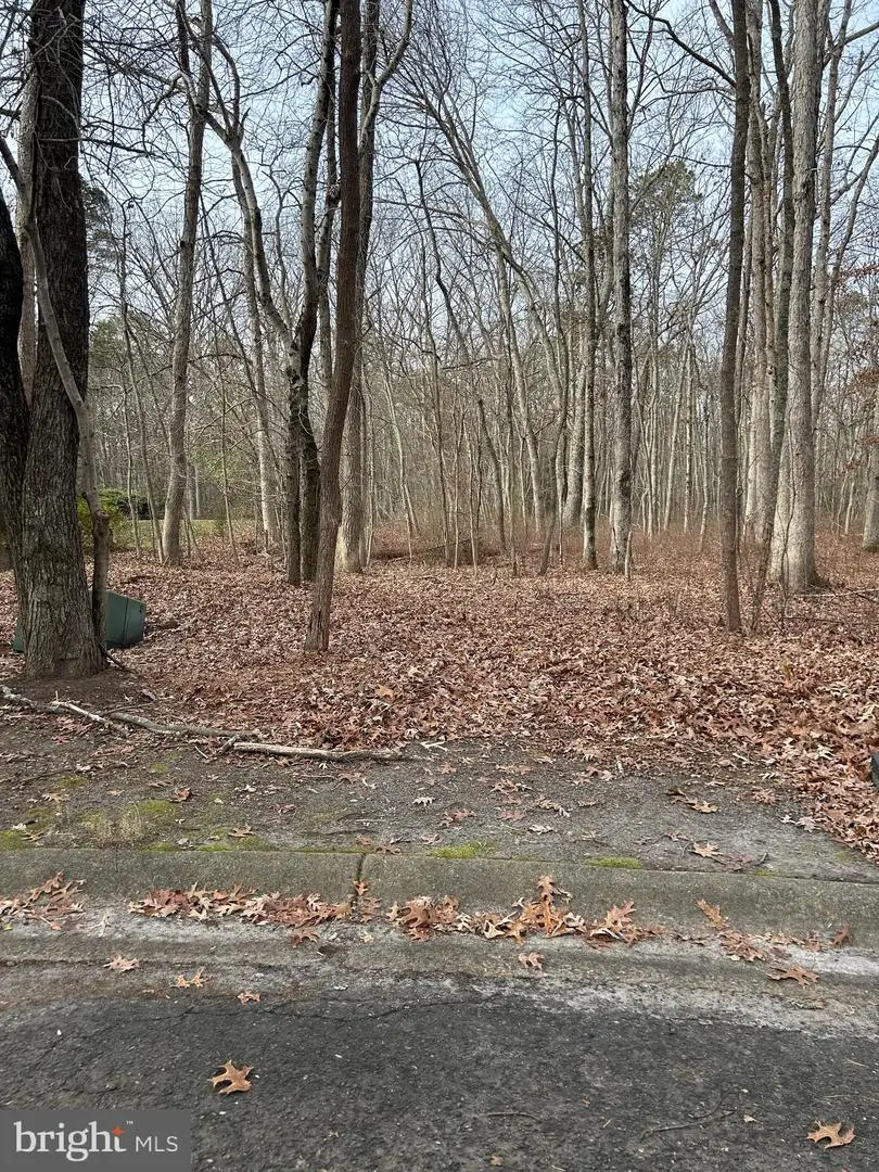 30 Muskingum Dr, Shamong, NJ 08088 - Image #1