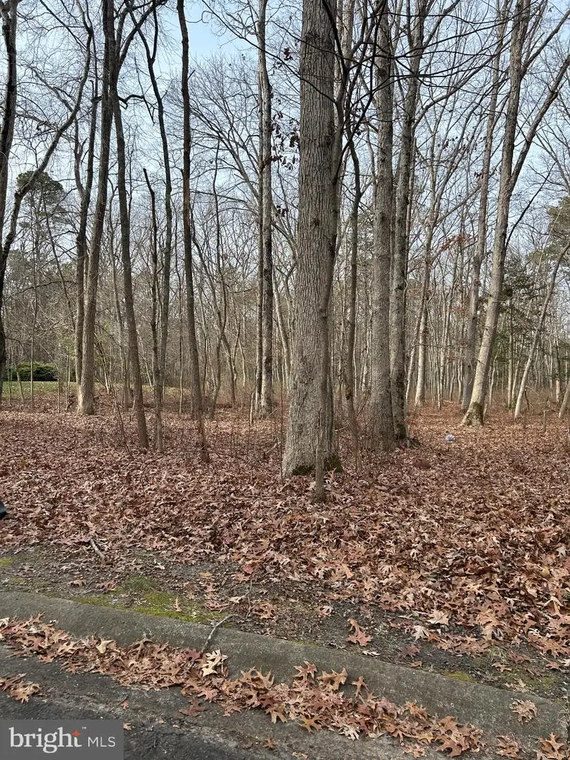 30 Muskingum Dr, Shamong, NJ 08088 - Image #2