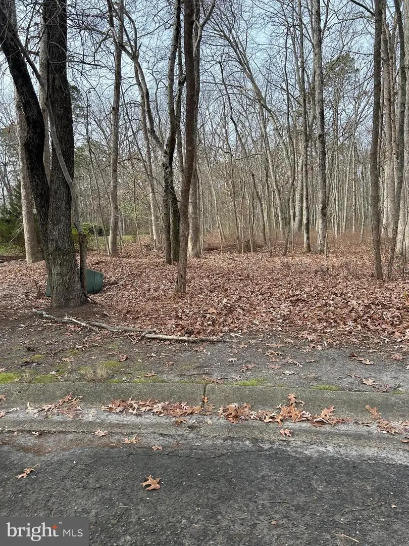 30 Muskingum Dr, Shamong, NJ 08088 - Image #3