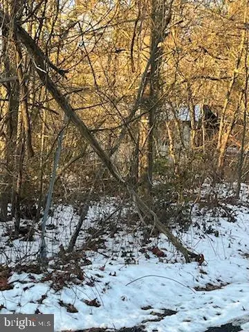 520 East Ave, Millville, NJ 08332 - Image #2