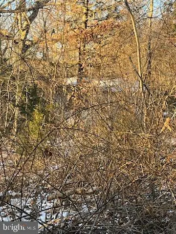 520 East Ave, Millville, NJ 08332 - Image #3