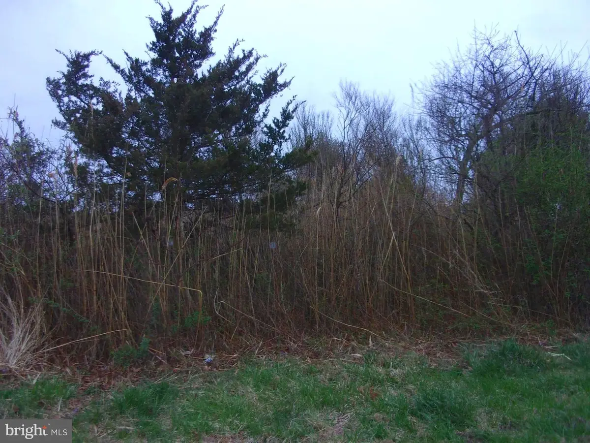 873-875 Downe Ave, Fortescue, NJ 08321 - Image #1