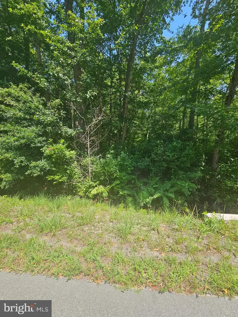 Route 47, Delmont, NJ 08314 - Image #2