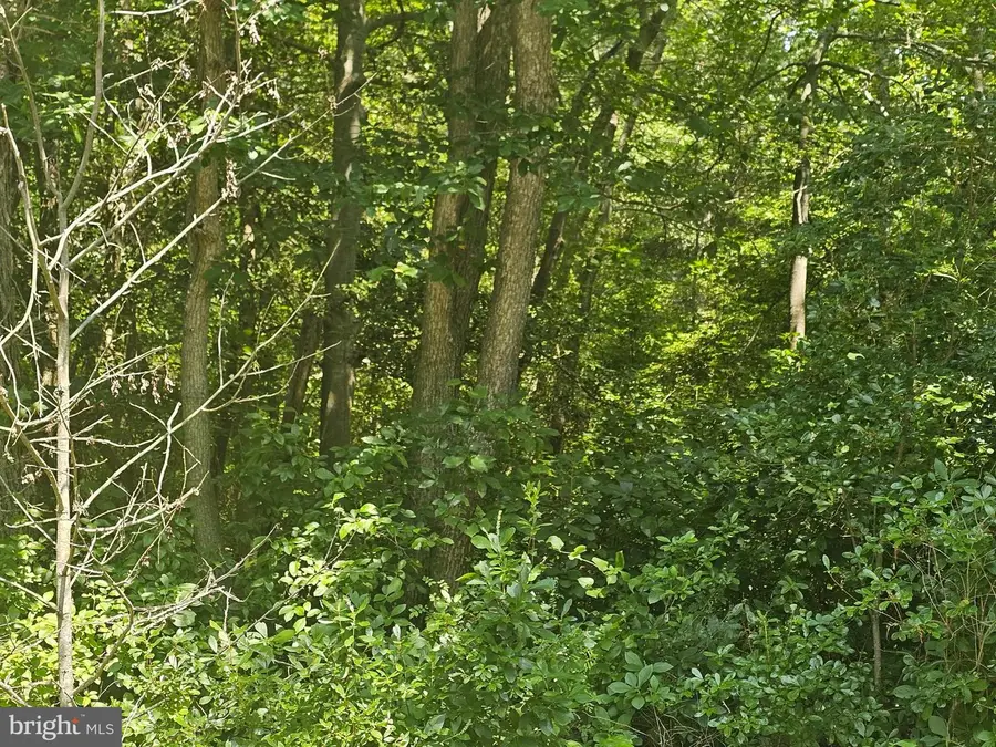 Route 47, Delmont, NJ 08314 - Image #3