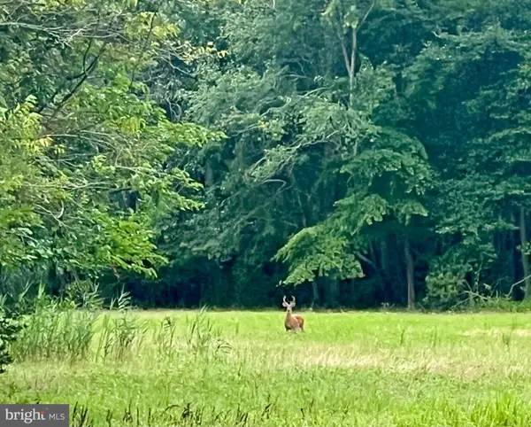 2600 Church St, PORT NORRIS, NJ 08349