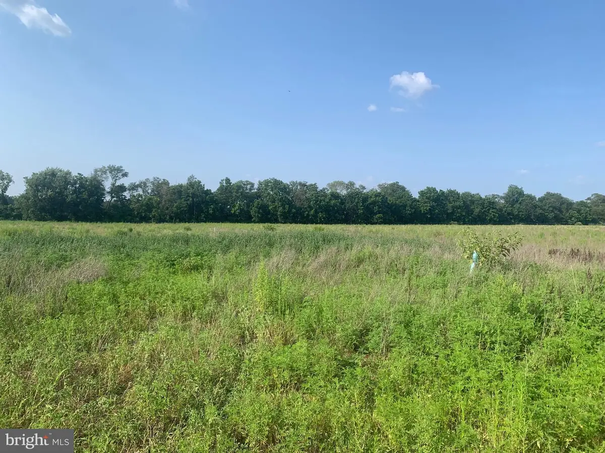 0 Gouldtown Woodruff Rd, Bridgeton, NJ 08302 - Image #1