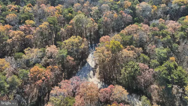 Carpenter Ave, LAWRENCE TWP, NJ 08332