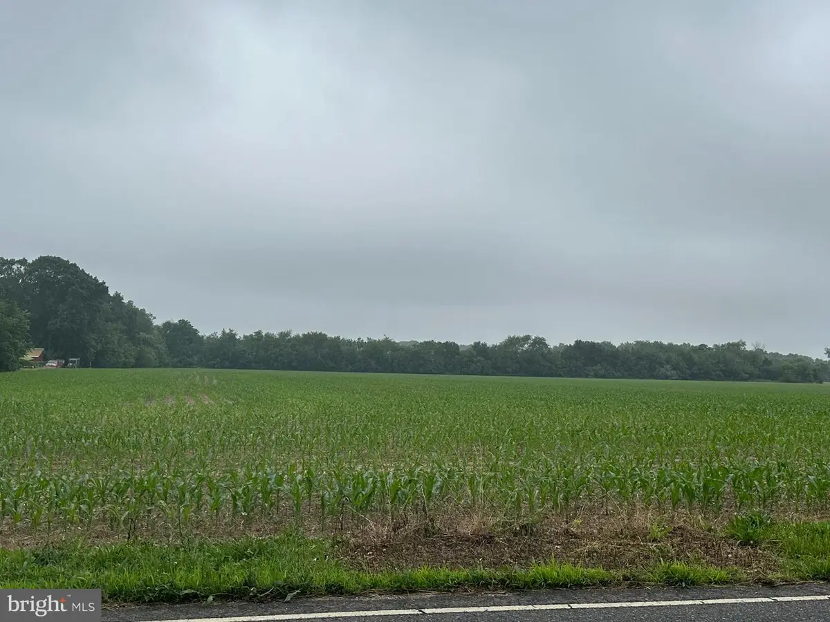 Block 703 Lot 2 Big Oak Rd, Bridgeton, NJ 08302 - Image #1