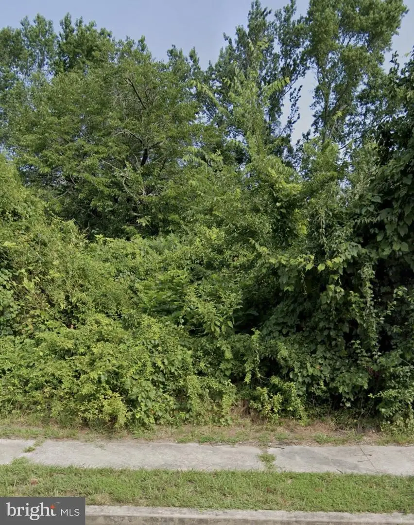 00 Spring Garden, Millville, NJ 08332 - Image #2