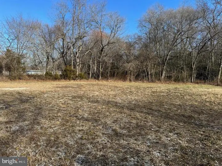 1573-south S Delsea Dr, Vineland, NJ 08360 - #3