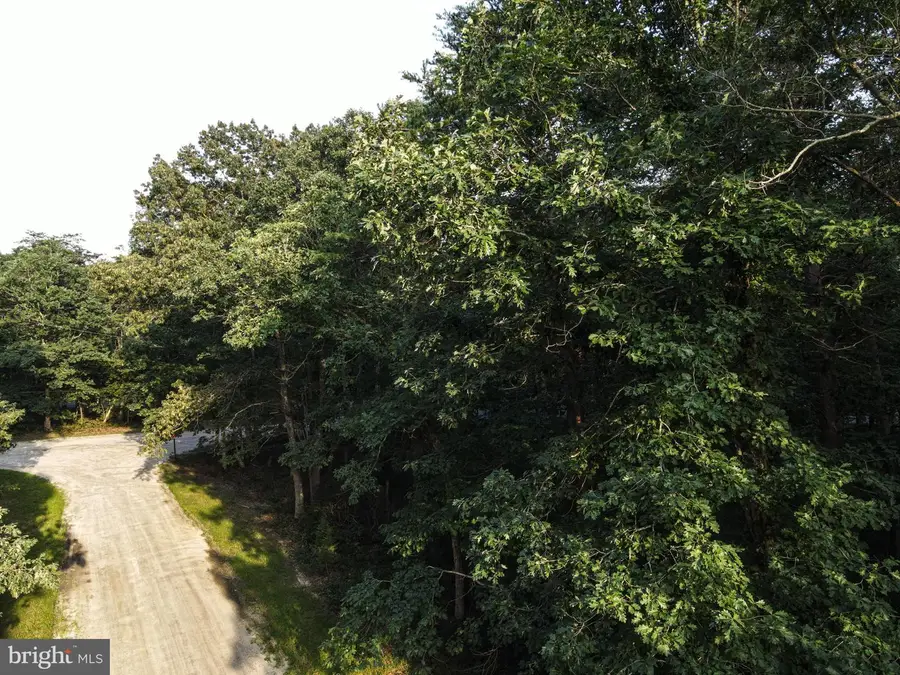 Carpenter Ave, Millville, NJ 08332 - #3