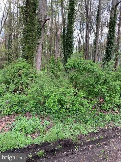 175 Mansfield Blvd N, Cherry Hill, NJ 08034 - Image #1