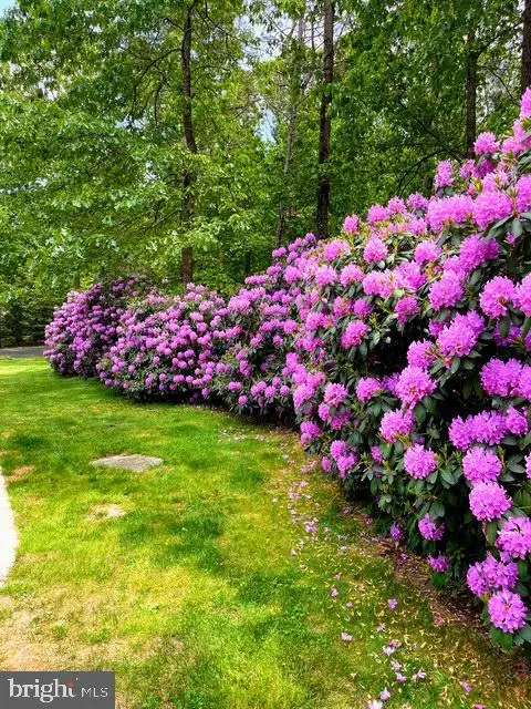 31 Braddock Ave, Hammonton, NJ 08037 - #3