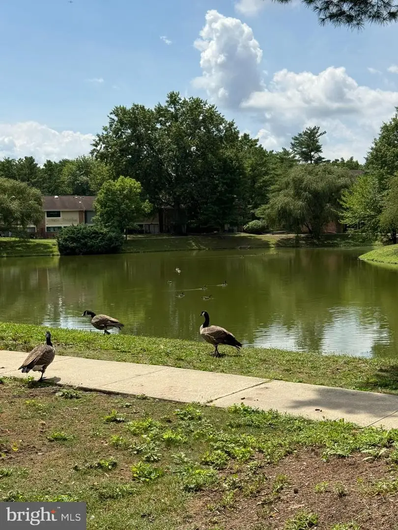 1097 Corbridge Ct, Voorhees, NJ 08043 - #3