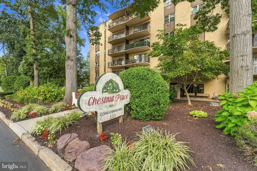 206 Chestnut St, Cherry Hill, NJ 08002 - #3