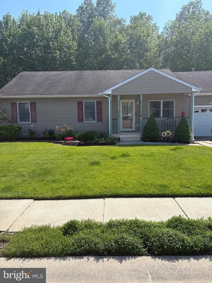 13 Cormorant Way, Cape May, NJ 08204 - #2