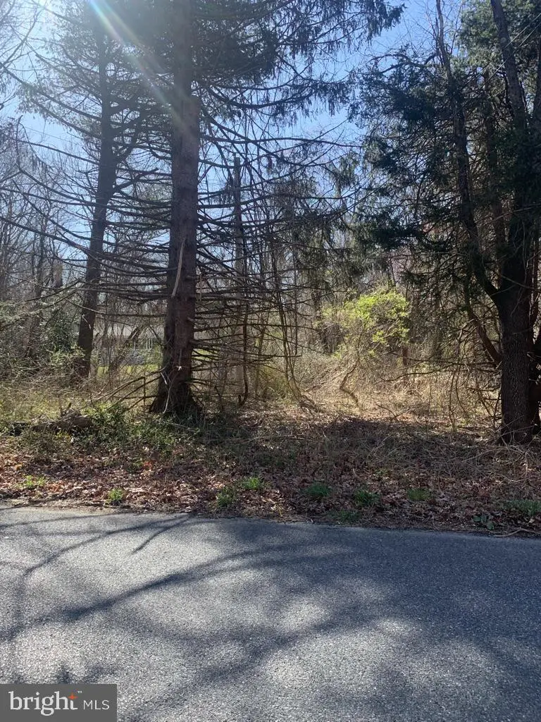 0 E Grant Ave, Williamstown, NJ 08094 - Image #3