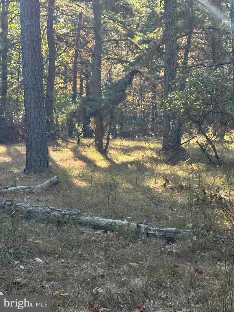 0 Black Horse Pike, Williamstown, NJ 08094 - Image #2