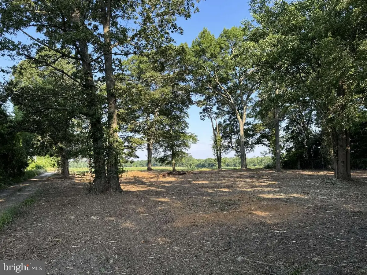 22 Nutt Ln, Mullica Hill, NJ 08062 - #1