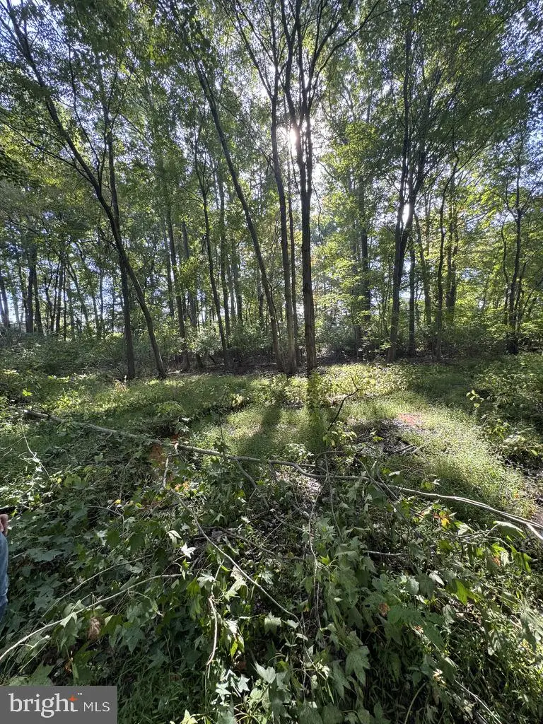 465 Tomlin Station Rd, Mullica Hill, NJ 08062 - #2