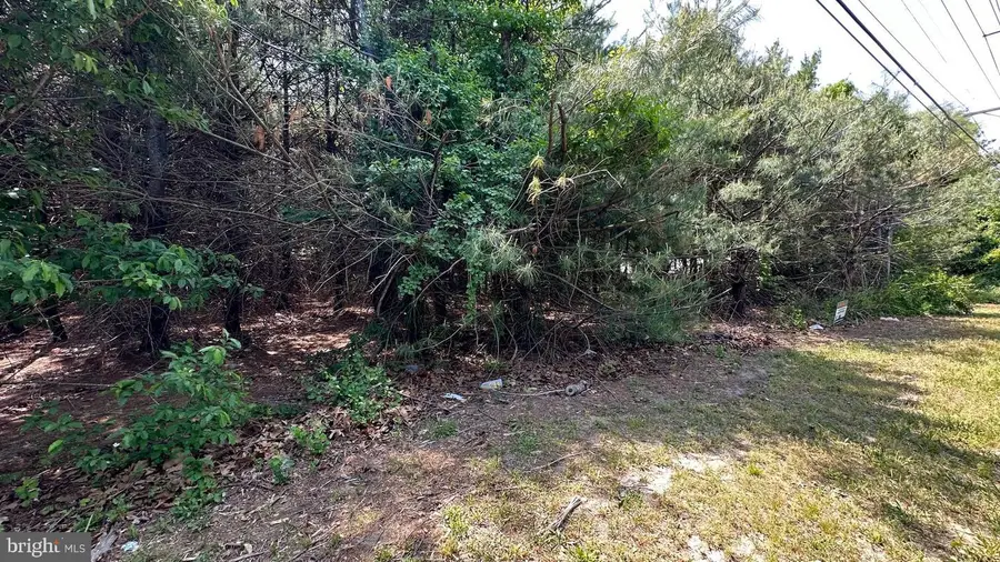 0 Piney Hollow Rd, Williamstown, NJ 08094 - #2