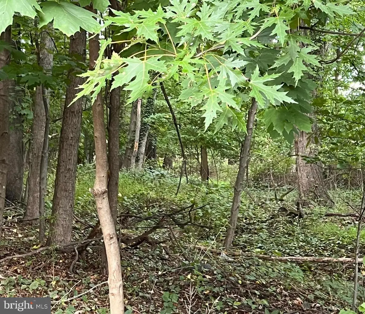 L:25 Mandl St, Hamilton Township, NJ 08619 - Image #1