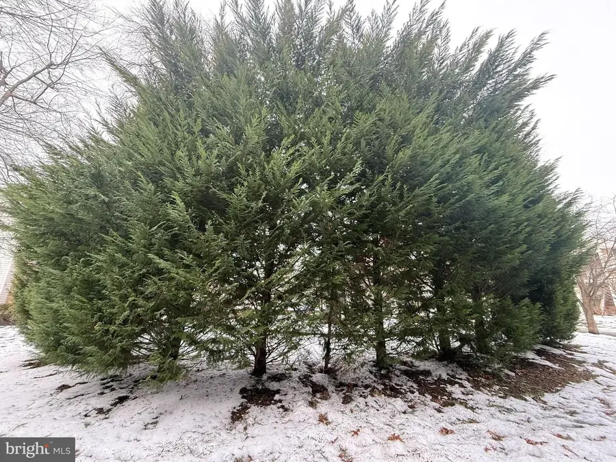 12 Juniper Way, Hamilton, NJ 08619 - #3