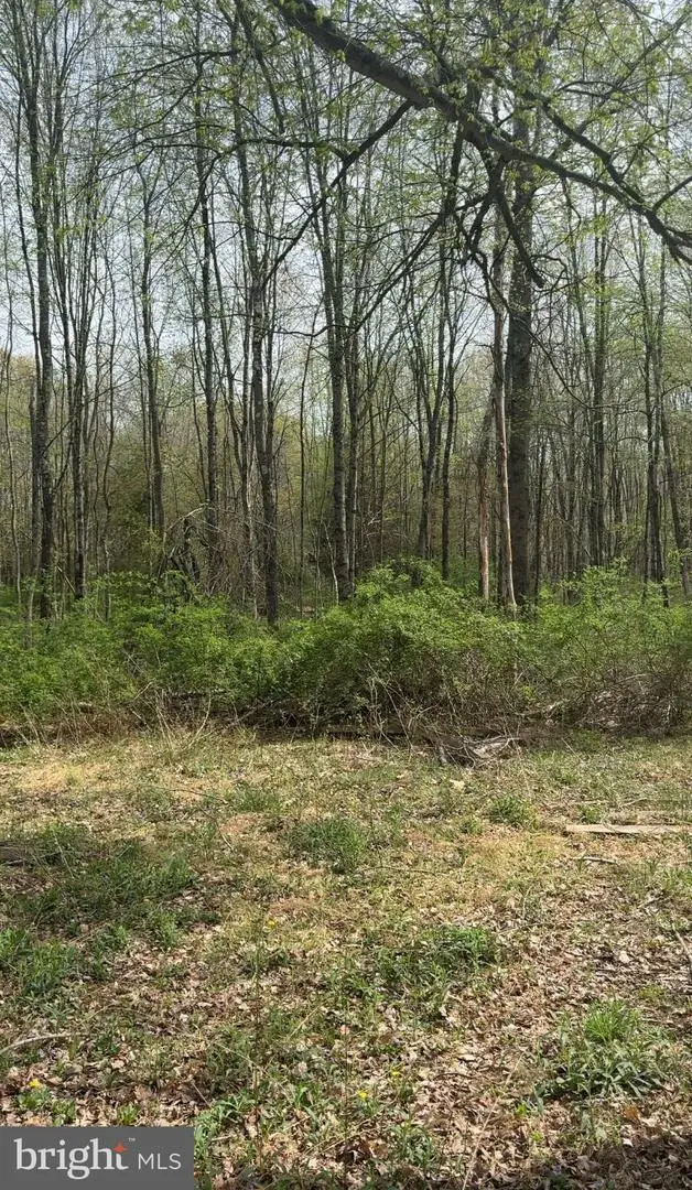 319 Lambertville Hopewell Rd, Lambertville, NJ 08530 - #1