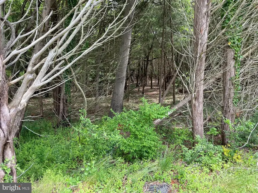 0 Main St, Little Egg Harbor Township, NJ 08087 - Image #2