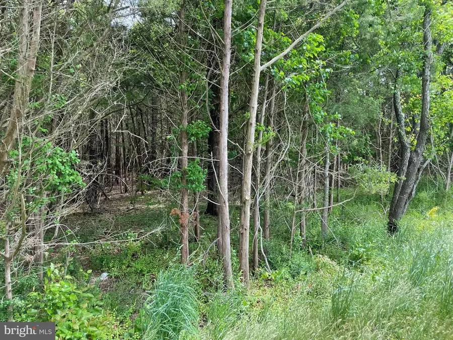 0 Main St, Little Egg Harbor Township, NJ 08087 - Image #3