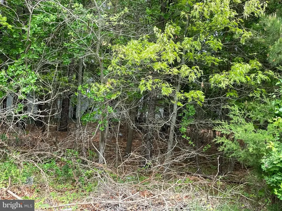 742 Route 9, Little Egg Harbor Township, NJ 08087 - Image #3