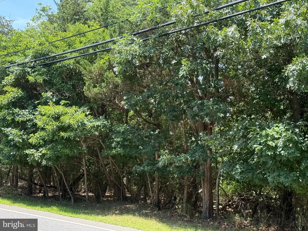 1298 Radio Rd, Little Egg Harbor Township, NJ 08087 - Image #1