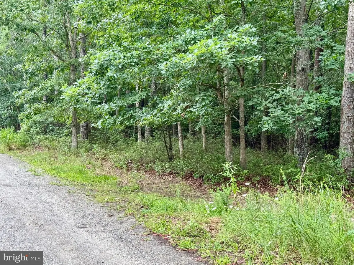 0 Maplewood, Little Egg Harbor Township, NJ 08087 - Image #1