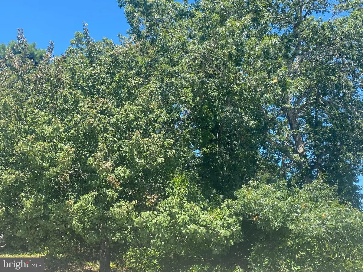 0 Pancoast Rd, Barnegat, NJ 08005 - Image #1