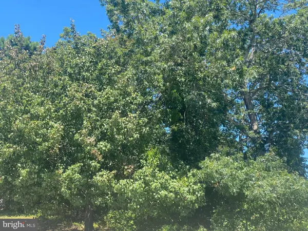 0 Pancoast Rd, BARNEGAT, NJ 08005