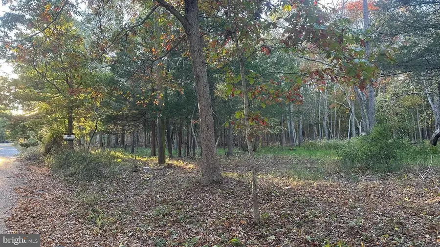 1076 S Main St, West Creek, NJ 08092 - Image #3