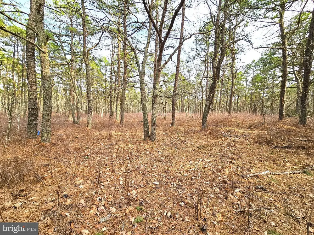 0 Birchwood, Tuckerton, NJ 08087 - #1
