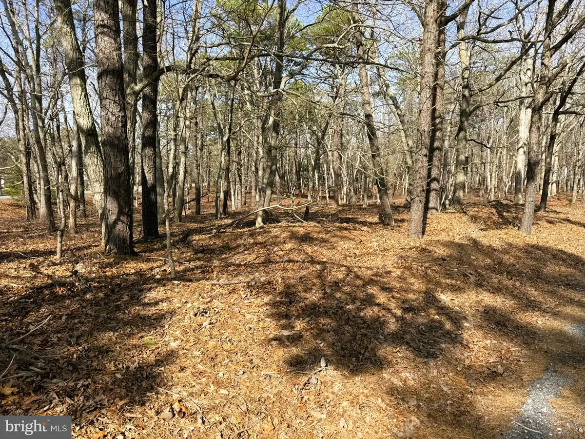 3 Pinewood Dr, Little Egg Harbor, NJ 08087 - #1