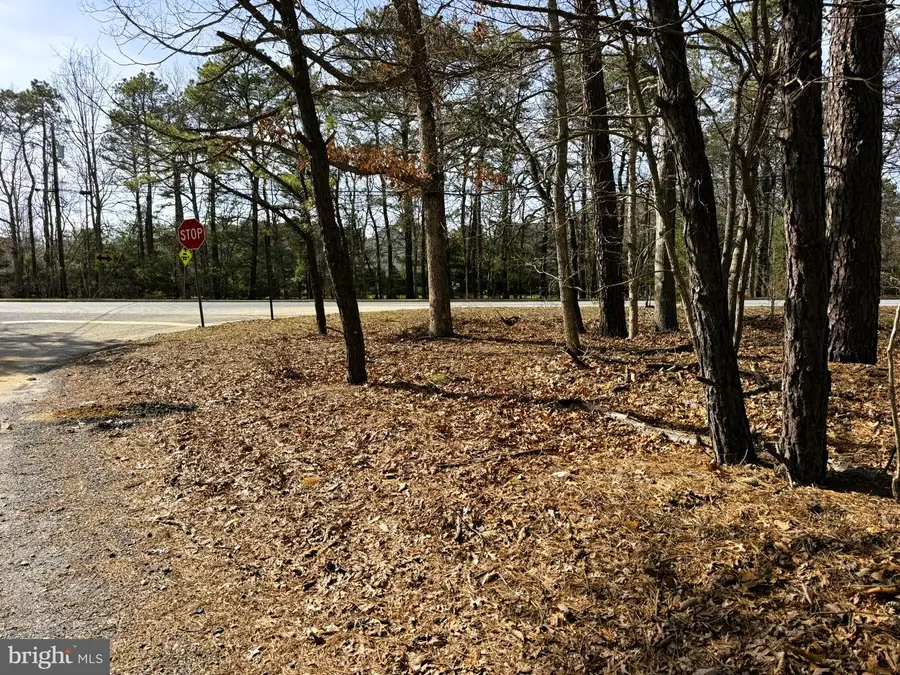 3 Pinewood Dr, Little Egg Harbor, NJ 08087 - #2