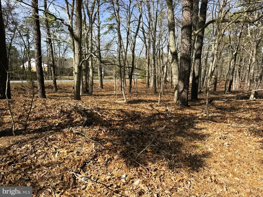 3 Pinewood Dr, Little Egg Harbor, NJ 08087 - #3